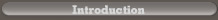 Intro Button